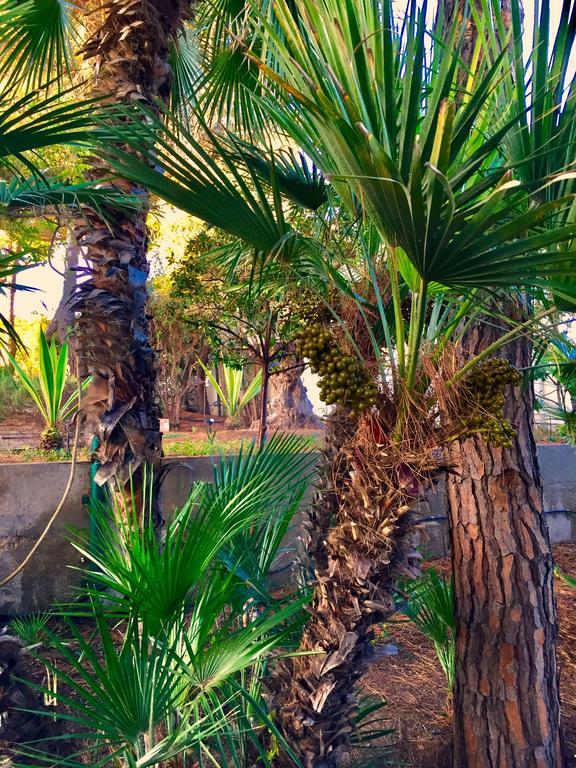 Le Due Pigne (Adults Only) Taranto Exterior foto